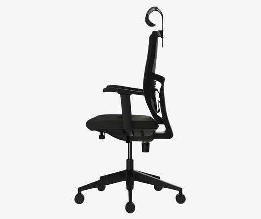 Lumbar